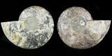 Cut/Polished Ammonite Pair - Agatized #47690-1